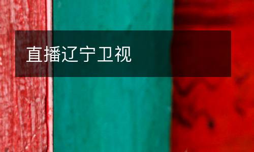 直播遼寧衛(wèi)視