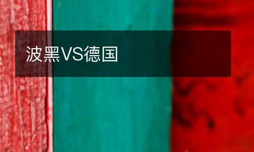 波黑VS德國