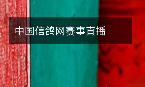 中國信鴿網(wǎng)賽事直播