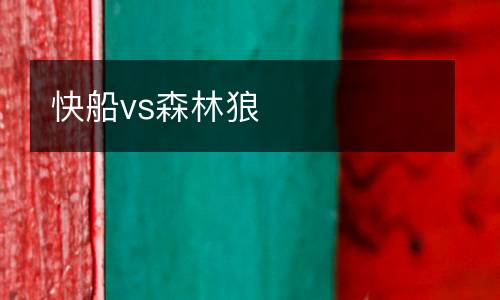 快船vs森林狼
