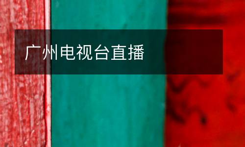 廣州電視臺直播