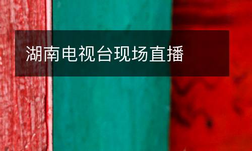 湖南電視臺現場直播