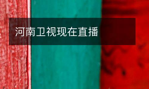 河南衛(wèi)視現(xiàn)在直播