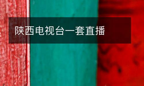 陜西電視臺一套直播