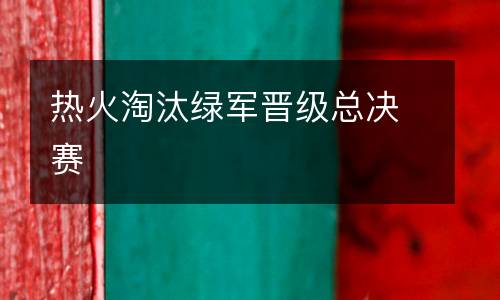 熱火淘汰綠軍晉級總決賽
