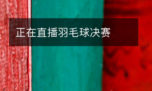 正在直播羽毛球決賽