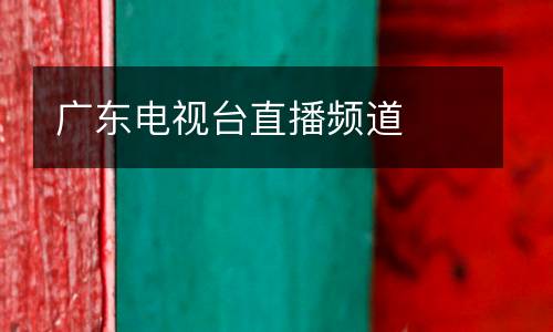 廣東電視臺直播頻道