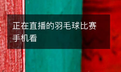 正在直播的羽毛球比賽手機(jī)看