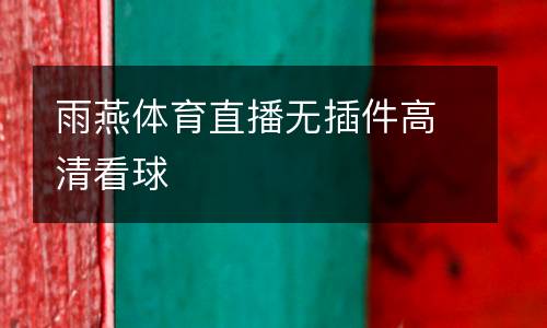 雨燕體育直播無插件高清看球
