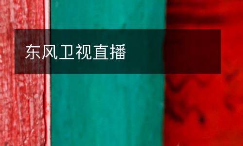 東風(fēng)衛(wèi)視直播