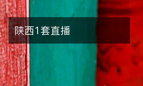 陜西1套直播