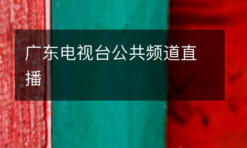 廣東電視臺公共頻道直播