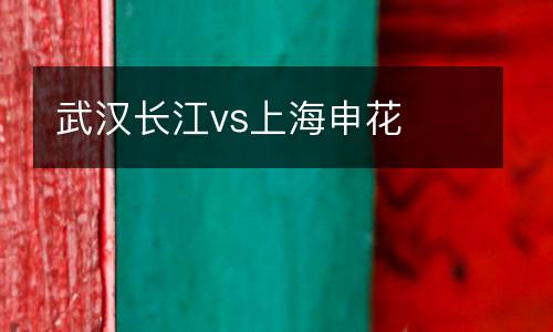 武漢長江vs上海申花