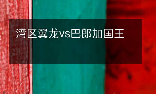 灣區(qū)翼龍vs巴郎加國王